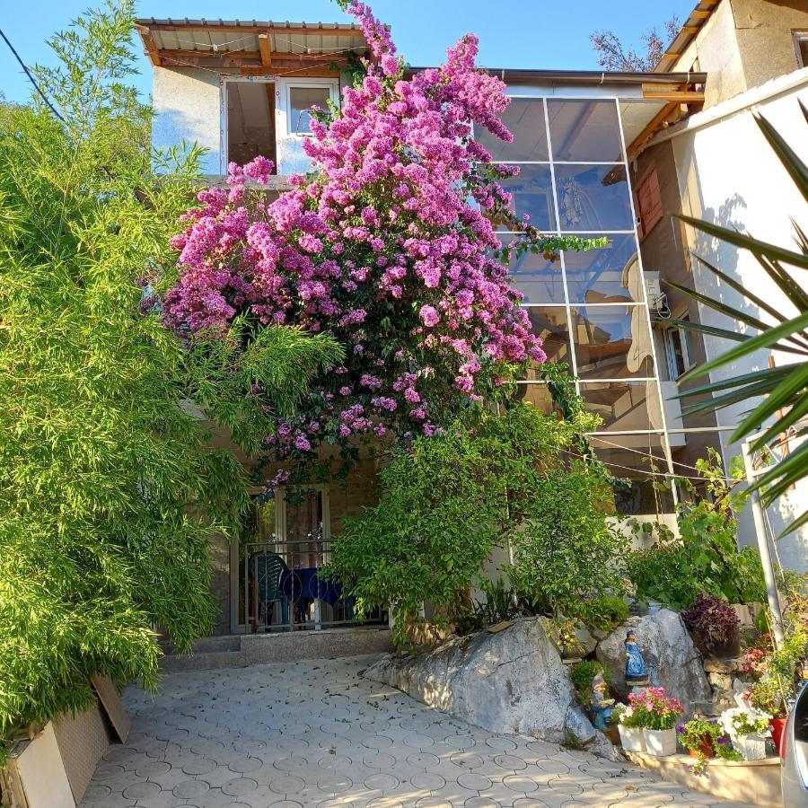 Bugenvilija Budva Exterior foto